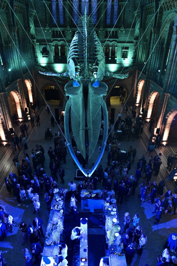 VIP launch of Hintze Hall, 13th July 2017