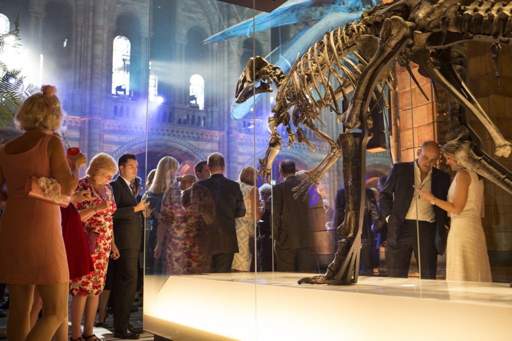 NHM2