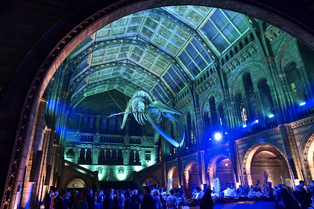VIP launch of Hintze Hall, 13th July 2017